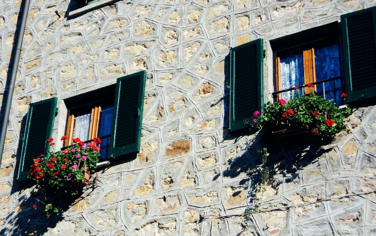 Andante appartamenti Castelnuovo di Val di Cecina Esterno foto