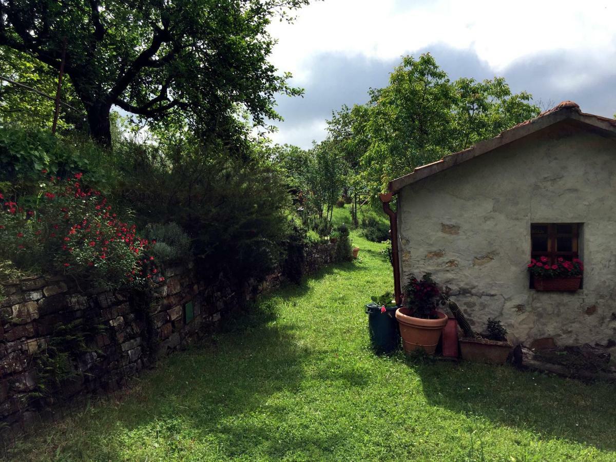 Andante appartamenti Castelnuovo di Val di Cecina Esterno foto